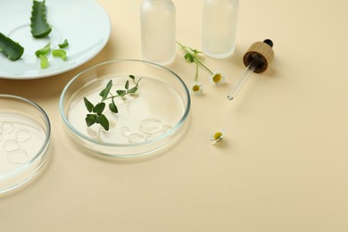 Composition with Petri dishes and plants on beige background. Space for text