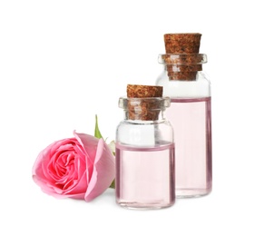 Photo of Bottles of essential oil and rose on white background