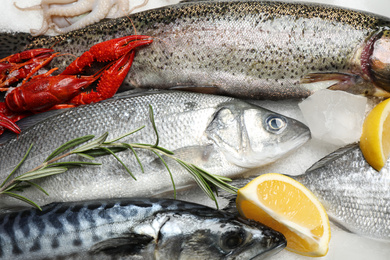 Photo of Fresh fish and seafood on ice, closeup