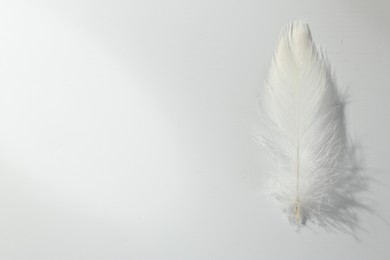 Photo of Fluffy white feather on light background, top view. Space for text