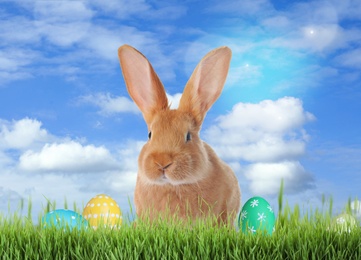 Image of Cute bunny and colorful Easter eggs on green grass outdoors