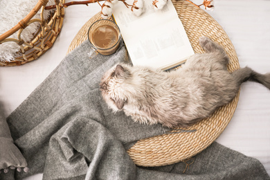 Photo of Birman cat near book and cup of drink on wicker pouf at home, top view. Cute pet