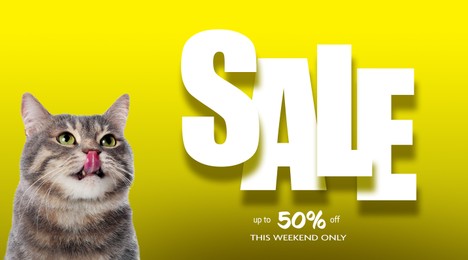 Advertising poster Pet Shop SALE. Cute cat and discount offer on yellow background
