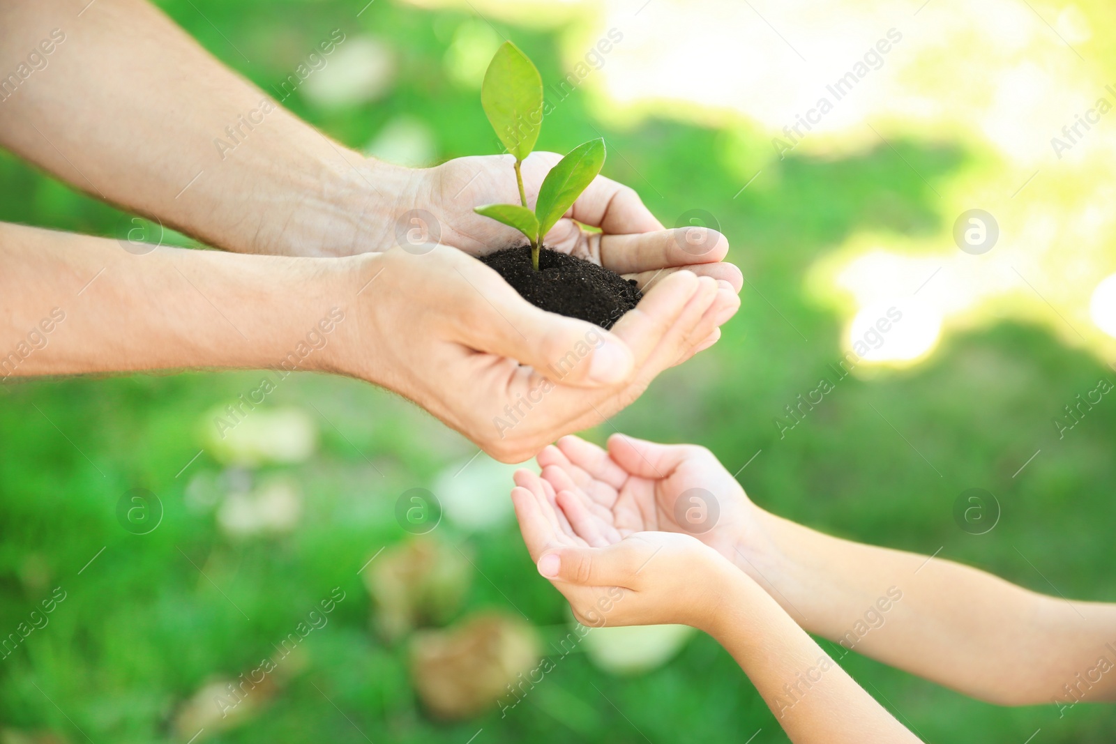 Photo of Man passing soil with green plant to his child on blurred background. Family concept