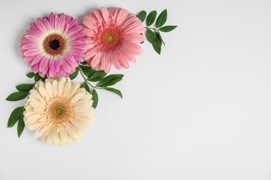Photo of Flat lay composition with beautiful bright gerbera flowers on white background. Space for text