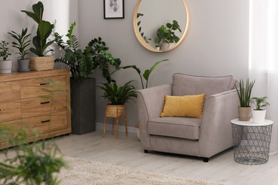 Photo of Stylish room with comfortable armchair and beautiful houseplants. Interior design