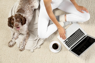 Photo of Top view of adorable Russian Spaniel with owner on light carpet, closeup