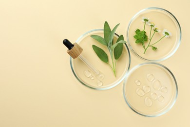 Photo of Flat lay composition with Petri dishes and plants on beige background. Space for text