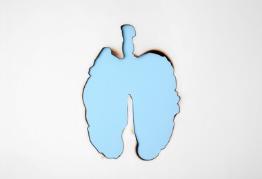 Photo of No smoking concept. Burned lungs shaped paper on light blue background, top view