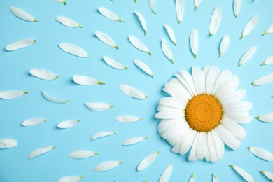 Photo of Beautiful floral composition with chamomile flower and petals on color background, top view