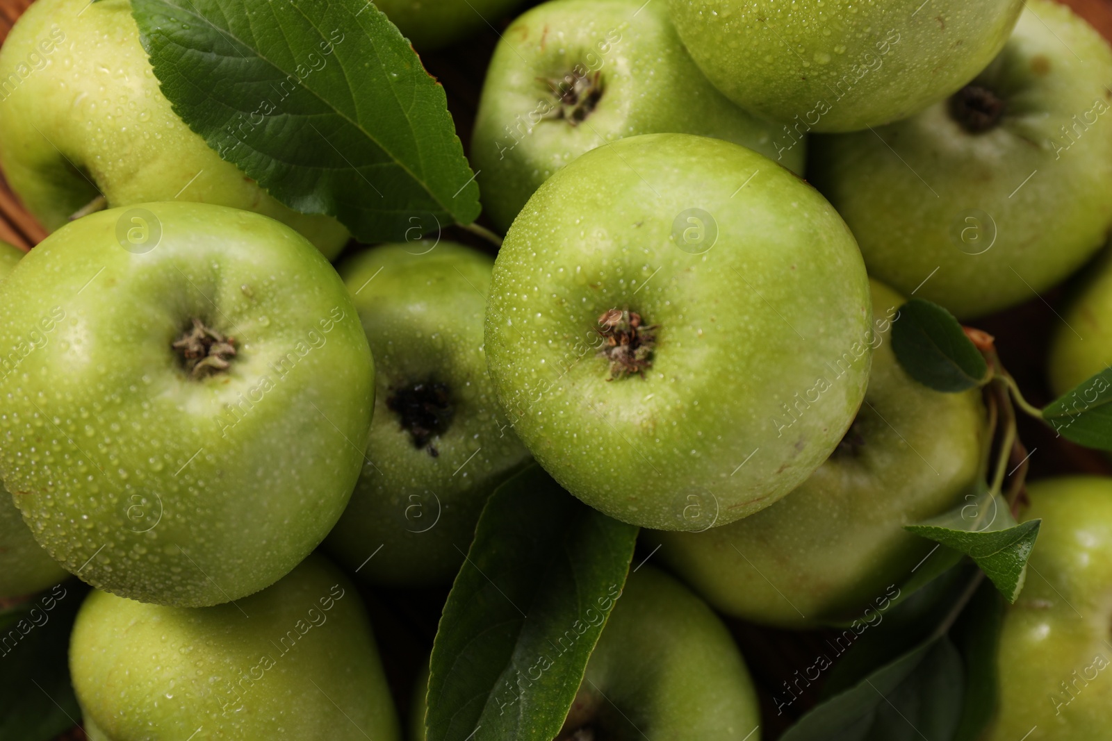 Photo of Fresh ripe green apples with water drops and leaves as background, top view