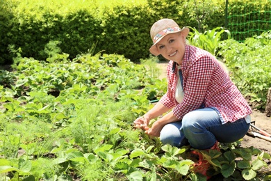 Photo of Woman working in garden on sunny day