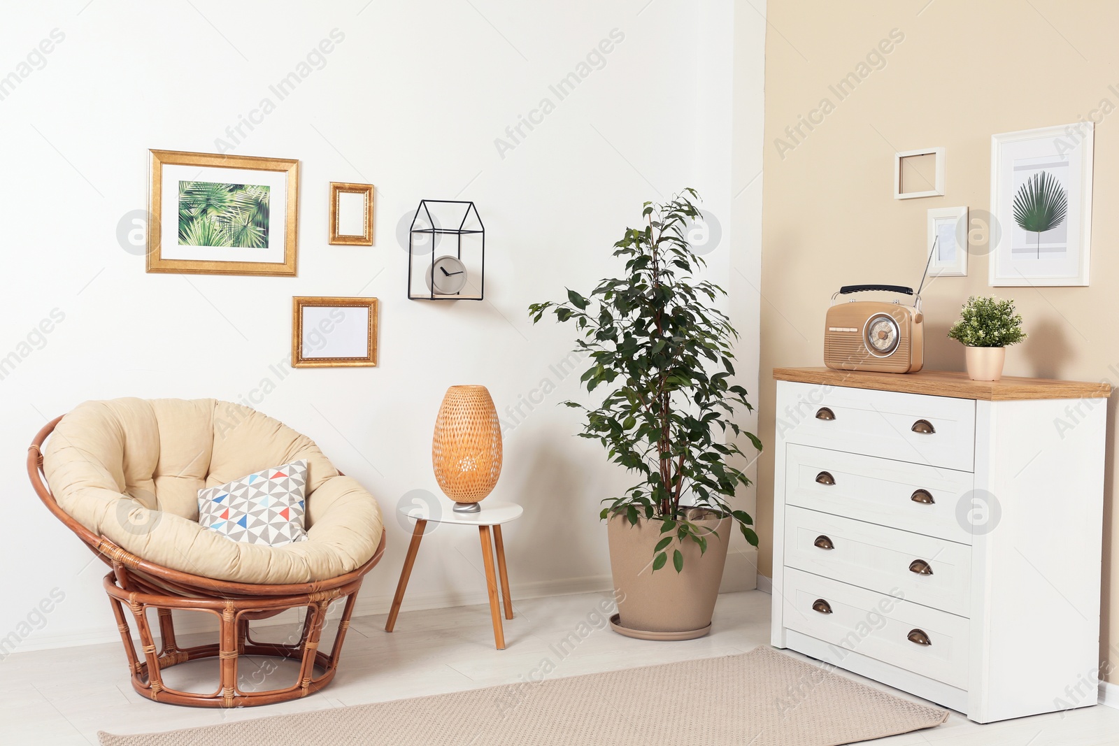 Photo of Stylish living room interior with ficus and lounge chair