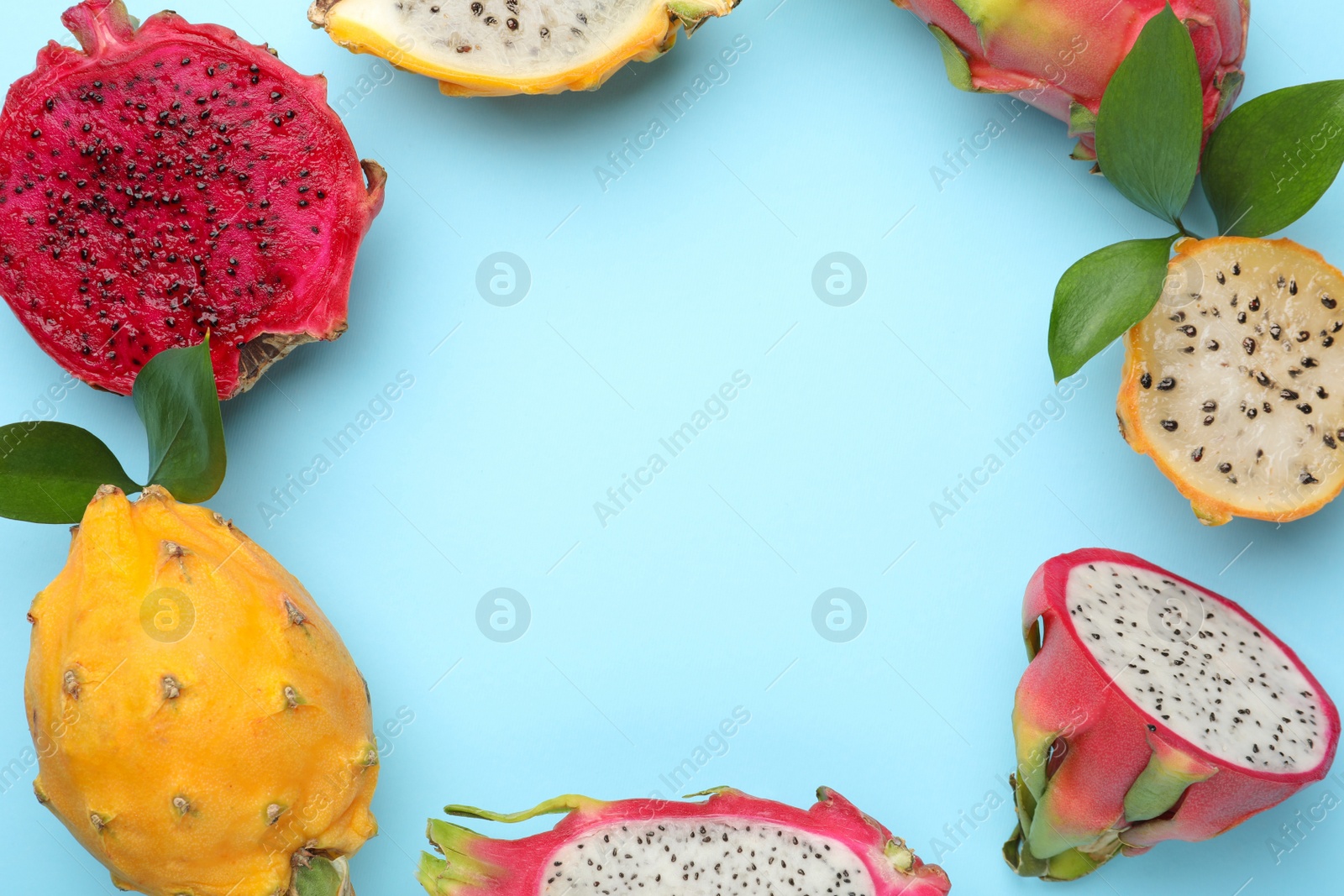 Photo of Frame of delicious cut and whole dragon fruits on light blue, flat lay. Space for text