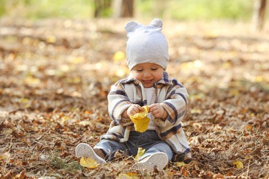 Photo of Cute little child on ground with dry leaves in autumn park