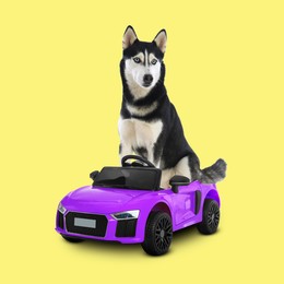 Image of Adorable Siberian Husky in toy car on light yellow background