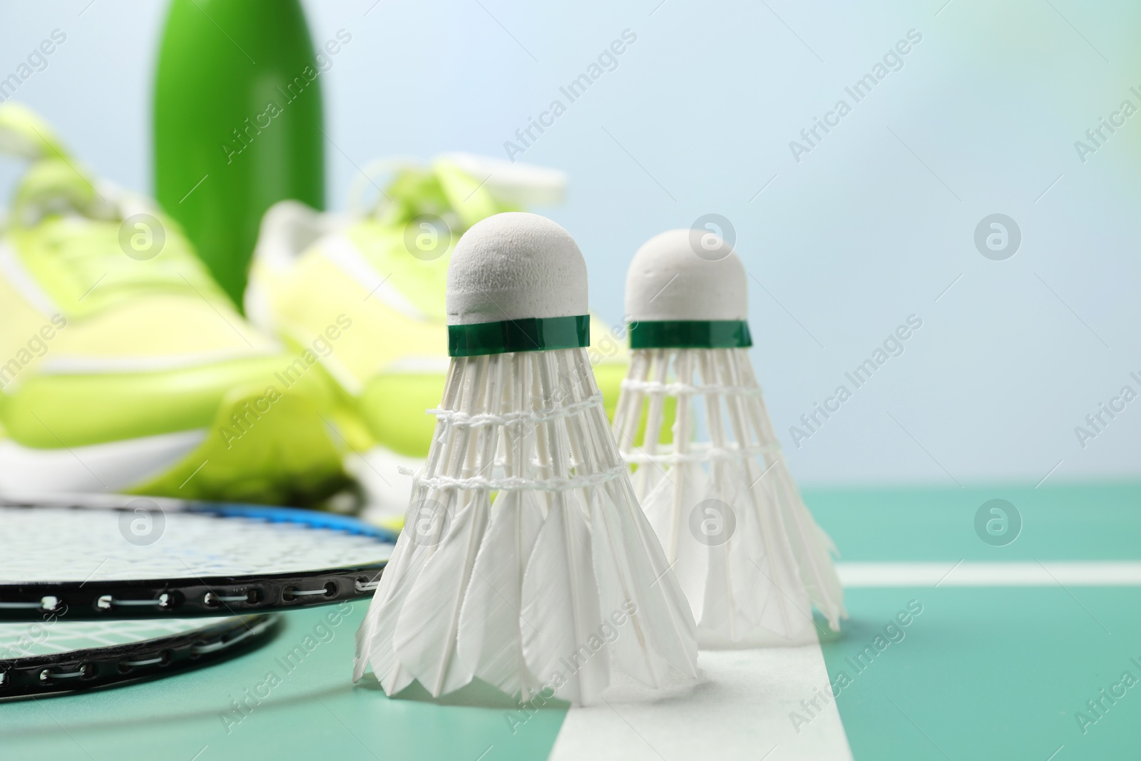 Photo of Feather badminton shuttlecocks and rackets on court, closeup