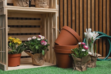 Photo of Composition with different plants and pots on artificial grass at wooden wall. Spring gardening