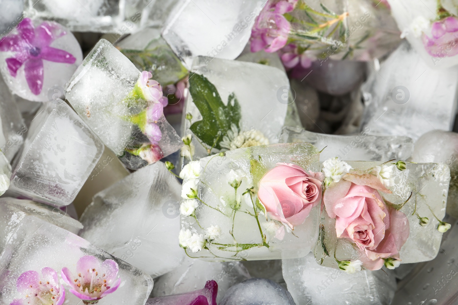 Photo of Many floral ice cubes as background, above view