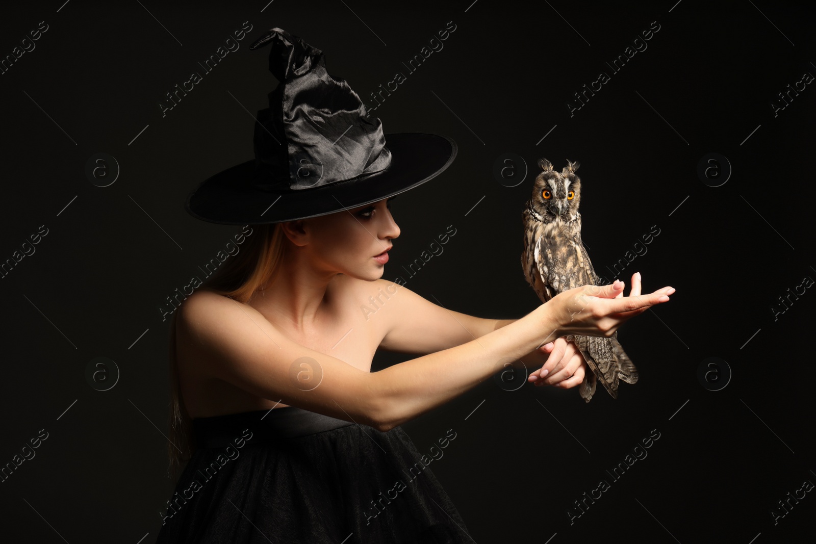 Photo of Witch in black hat with owl on dark background. Scary fantasy character