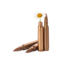Photo of Bullets and cartridge case with beautiful flowers isolated on white