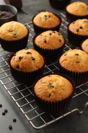 Delicious freshly baked muffins with chocolate chips on gray table, closeup