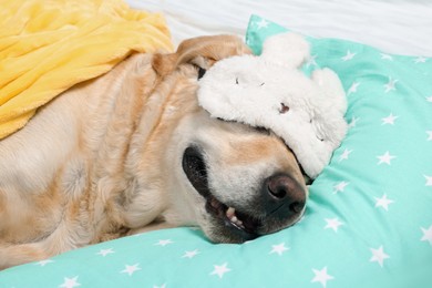 Photo of Cute Labrador Retriever with sleep mask resting on pillow