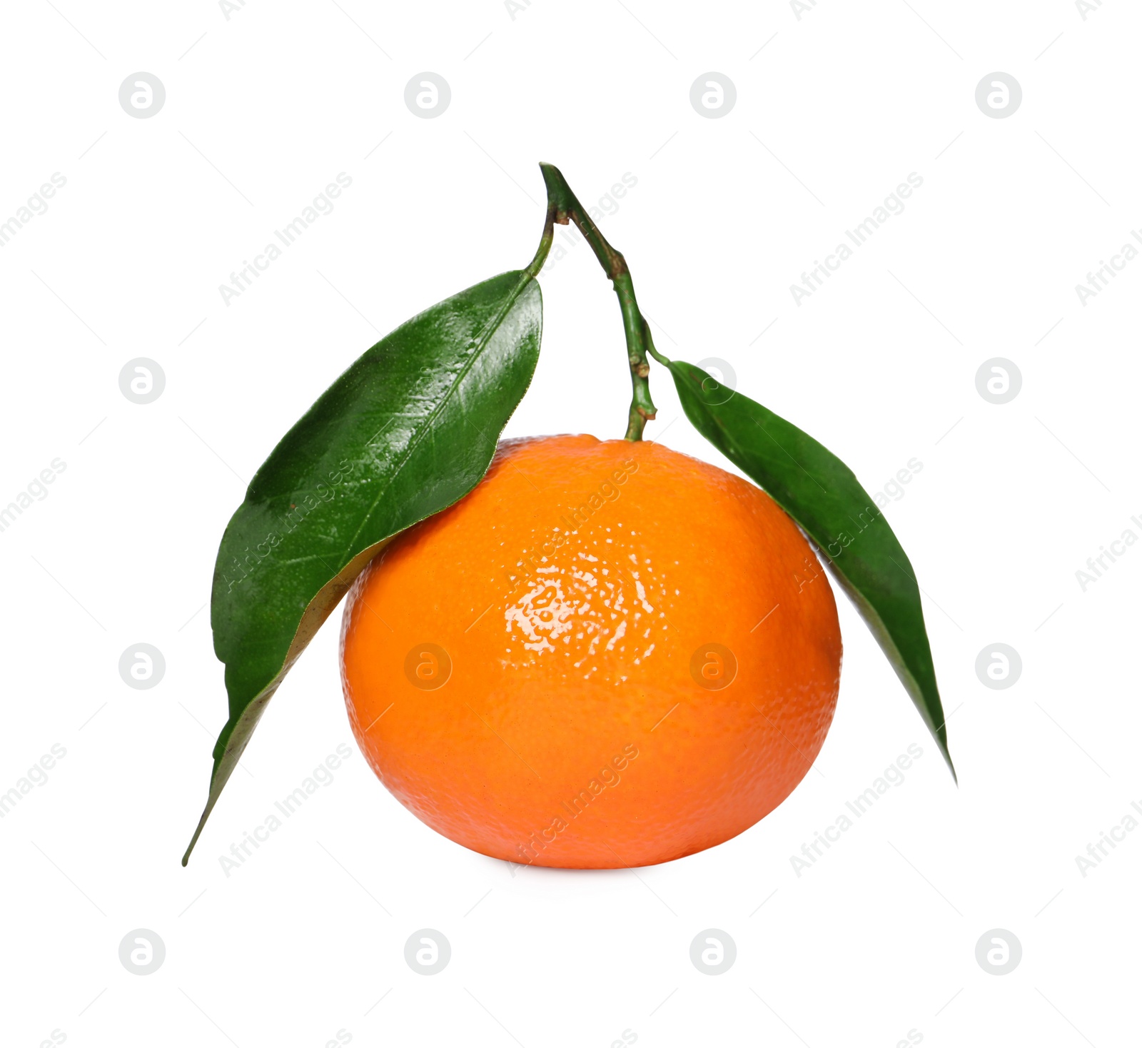 Photo of One fresh tangerine with green leaves isolated on white