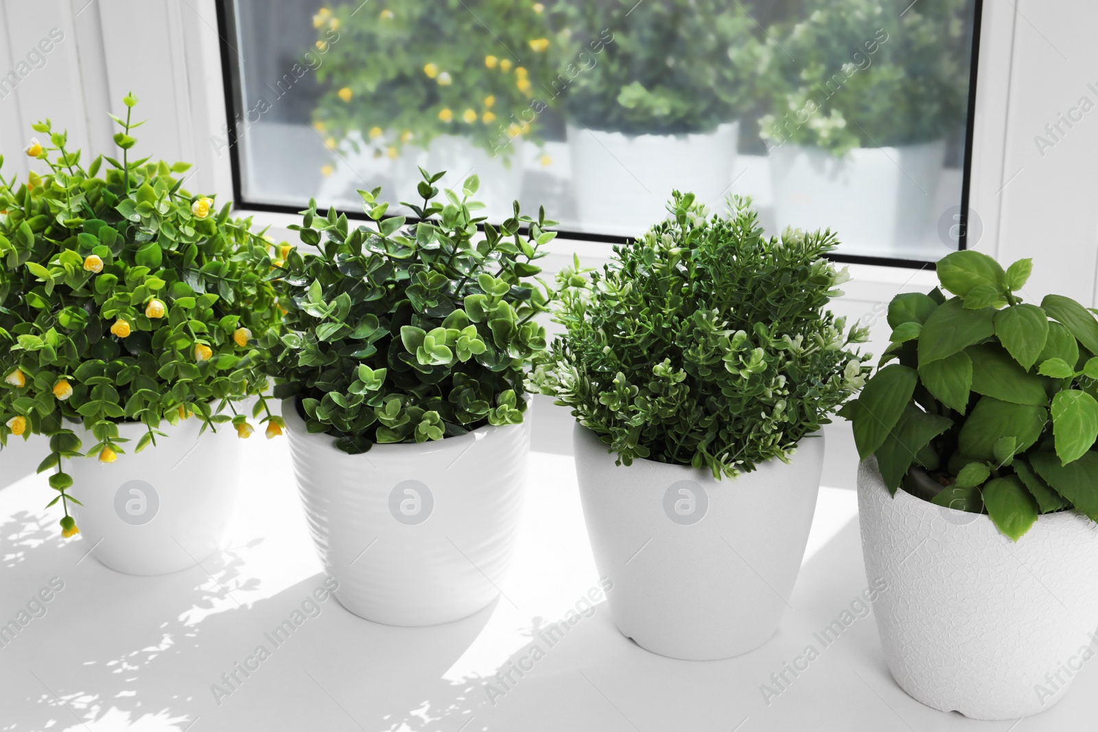 Photo of Artificial potted herbs on sunny day on windowsill indoors. Home decor