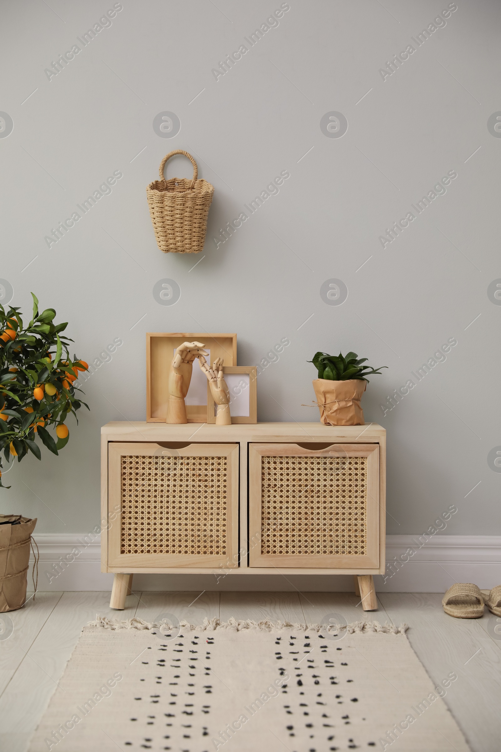 Photo of Stylish room interior with wooden cabinet and potted kumquat tree near grey wall