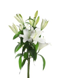 Photo of Beautiful bouquet of lily flowers isolated on white