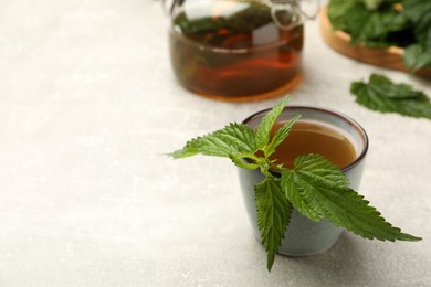 Cup of aromatic nettle tea with green leaves on light grey table, space for text