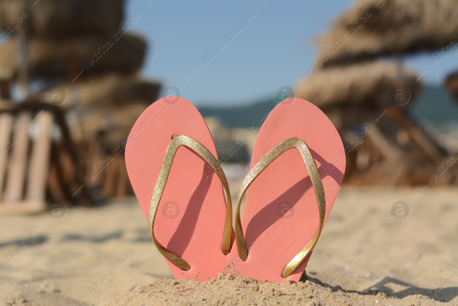 Photo of Stylish flip flops in sand on beach