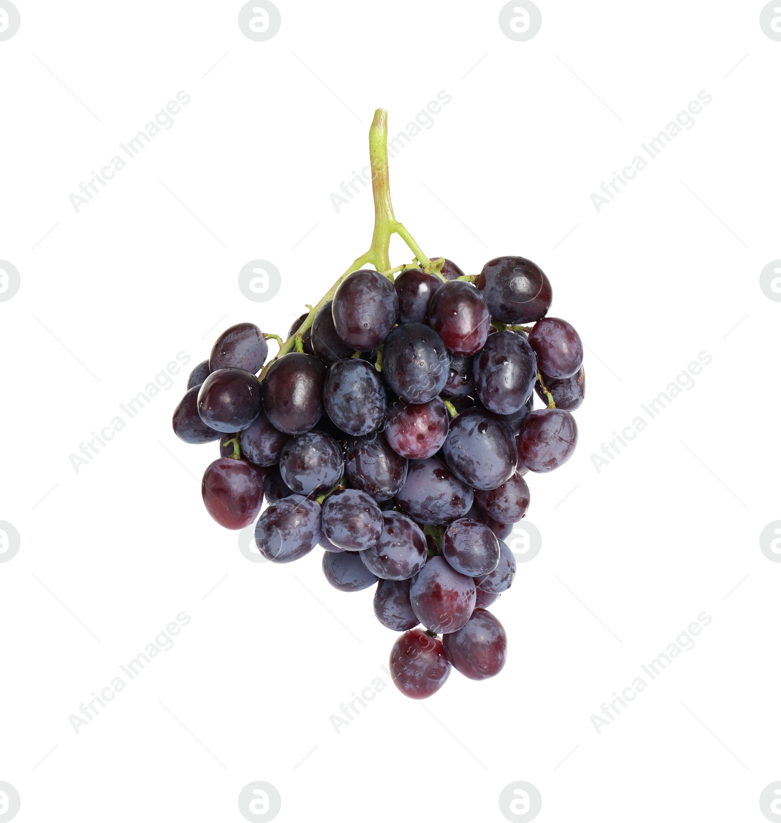 Photo of Bunch of fresh ripe juicy grapes isolated on white