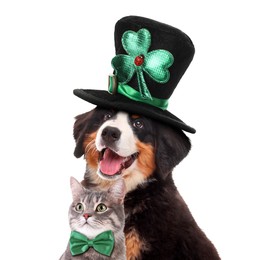 Image of St. Patrick's day celebration. Cute dog in leprechaun hat and cat with green bow tie isolated on white