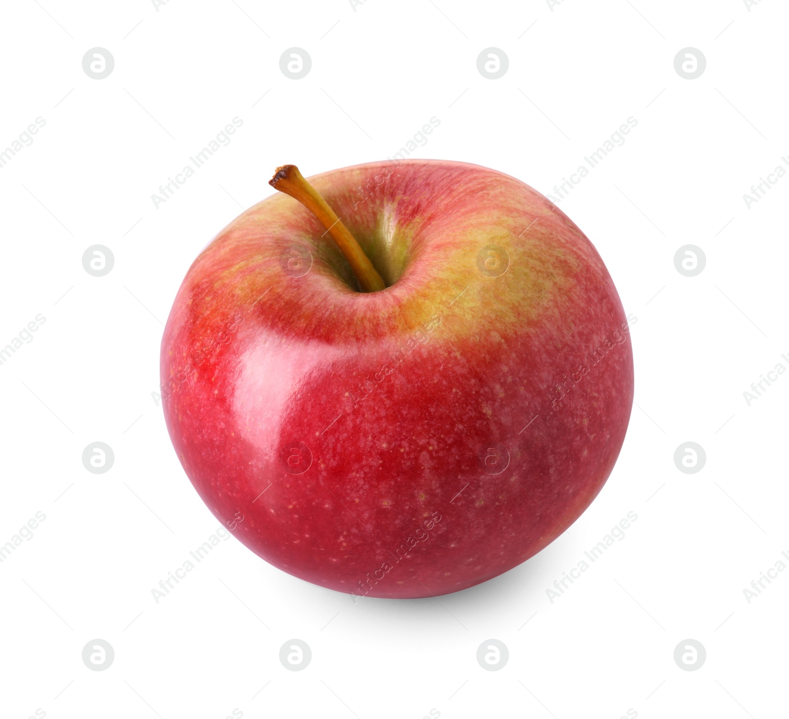 Photo of One ripe red apple isolated on white