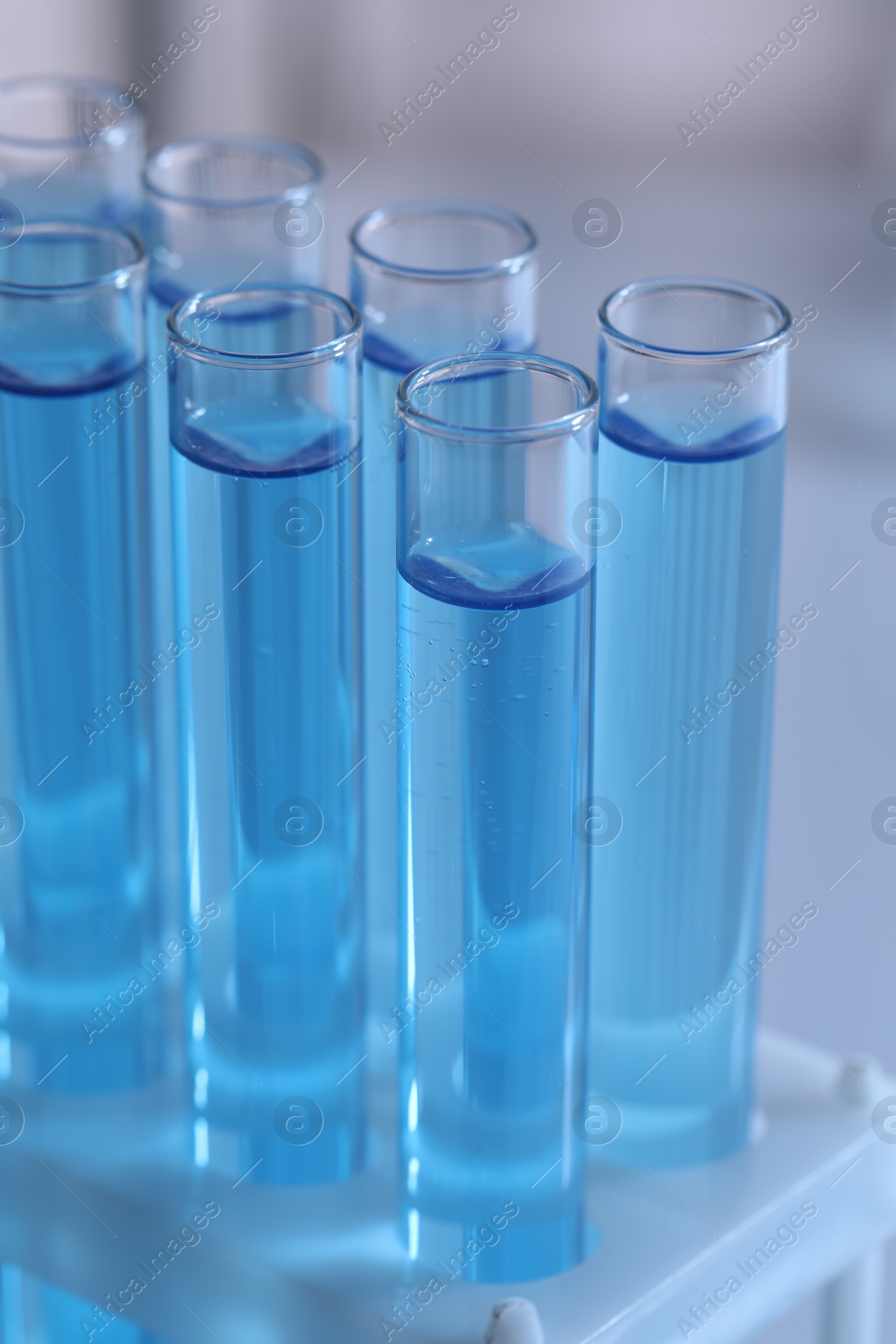 Photo of Test tubes with reagents in rack against blurred background, closeup. Laboratory analysis