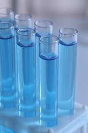 Photo of Test tubes with reagents in rack against blurred background, closeup. Laboratory analysis