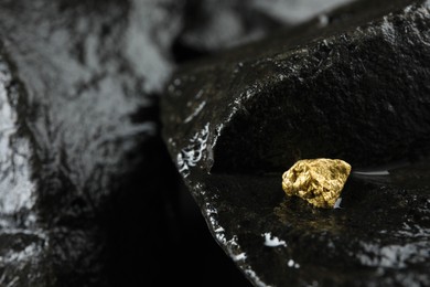 Shiny gold nugget on wet stone, closeup. Space for text