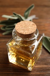 Bottle of essential sage oil and plant twig on wooden table, closeup