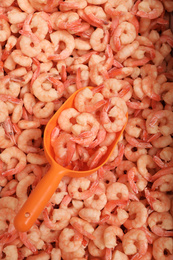 Photo of Shovel and fresh raw shrimps, top view. Wholesale market