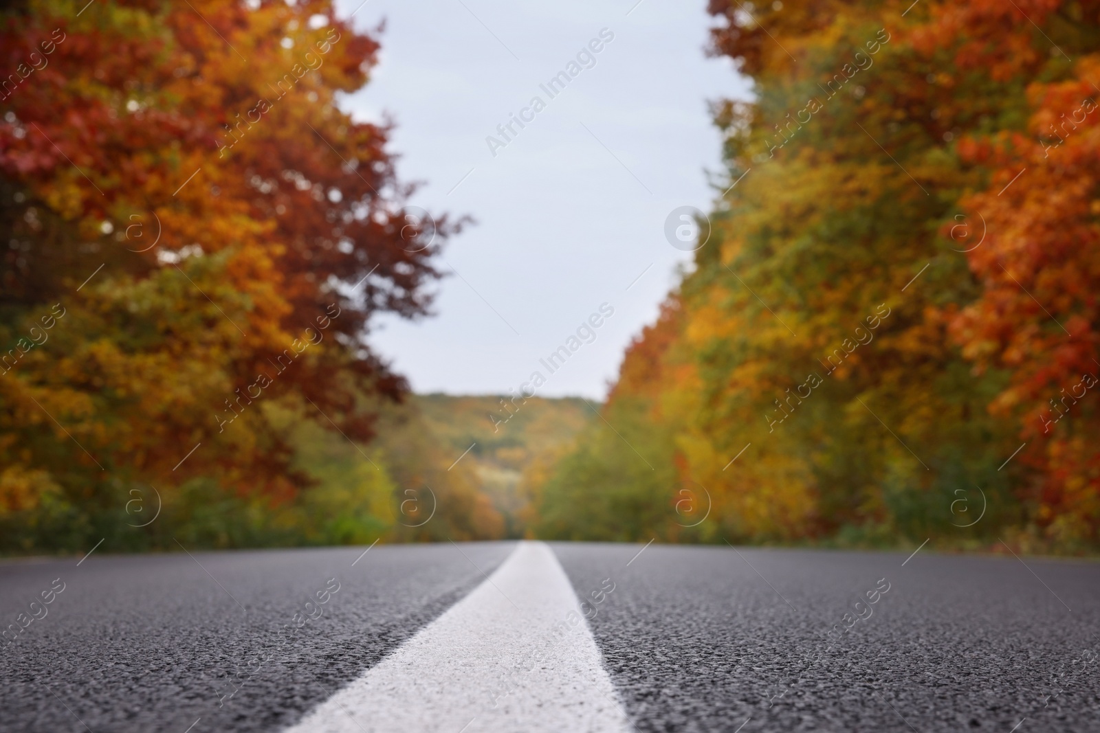 Photo of Beautiful view of asphalt highway without transport near autumn forest