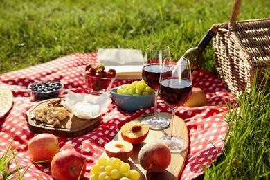 Picnic blanket with delicious food and wine on green grass