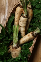 Photo of Tasty fresh ripe parsnips in wicker basket on wooden table, top view