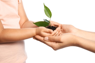 Photo of Woman and her child holding soil with green plant in hands on white background. Family concept