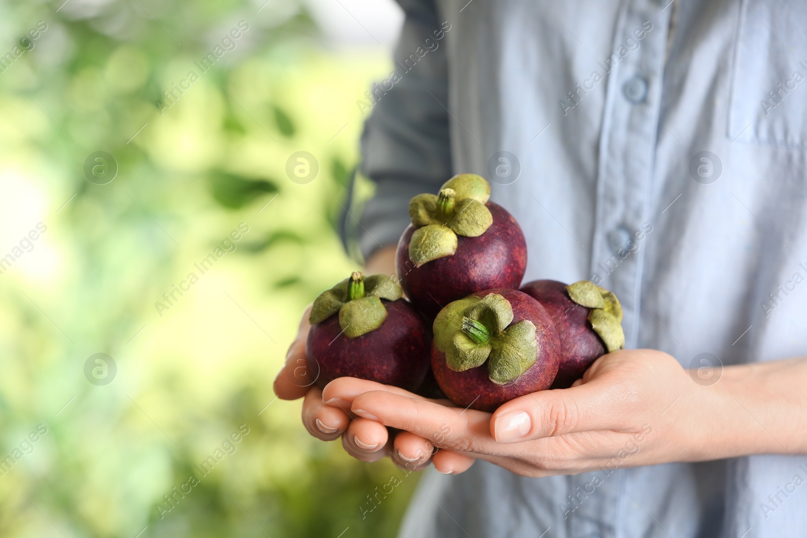 Photo of Woman holding delicious ripe mangosteen fruits outdoors, closeup. Space for text