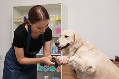 Photo of Professional groomer trimming claws of cute dog with clipper in pet beauty salon