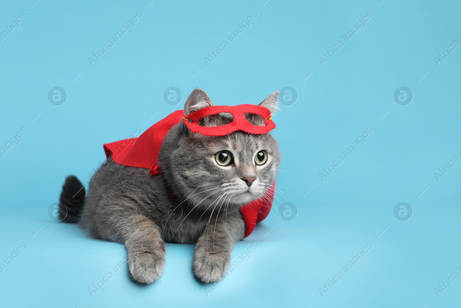 Photo of Adorable cat in red superhero cape and mask on light blue background, space for text