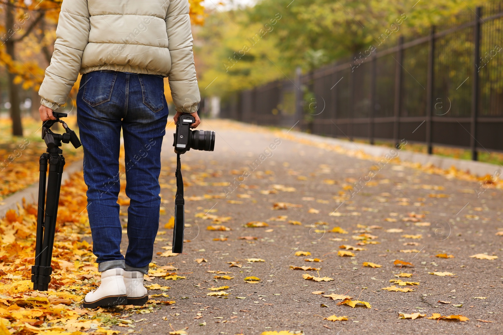 Photo of Photographer with professional camera and tripod outdoors on autumn day, closeup. Space for text