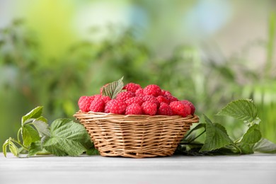 Wicker basket with tasty ripe raspberries and leaves on white wooden table against blurred green background, space for text
